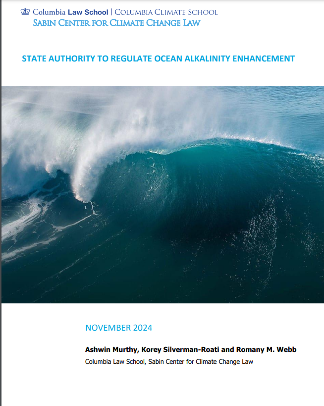 "ocean alkalinity" 